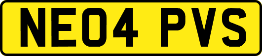 NE04PVS