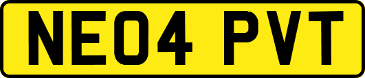 NE04PVT
