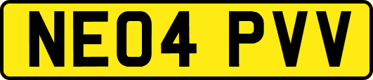 NE04PVV