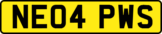 NE04PWS