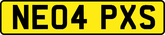 NE04PXS
