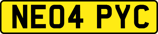 NE04PYC