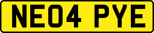 NE04PYE