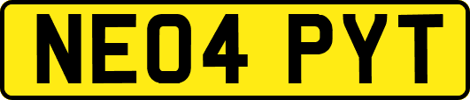 NE04PYT