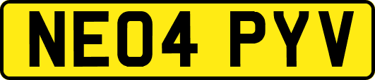 NE04PYV