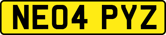 NE04PYZ