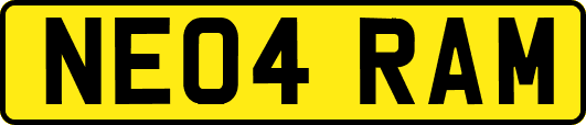 NE04RAM