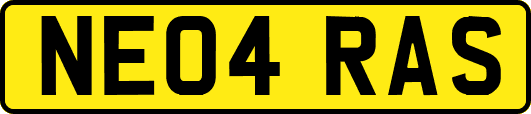 NE04RAS