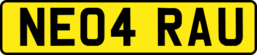 NE04RAU