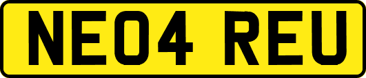 NE04REU