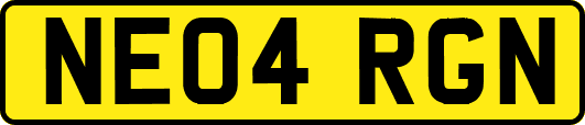 NE04RGN
