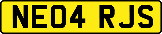 NE04RJS