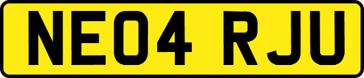 NE04RJU