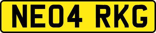 NE04RKG