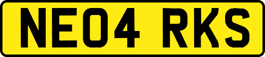 NE04RKS