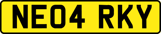NE04RKY