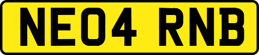 NE04RNB