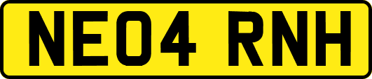 NE04RNH