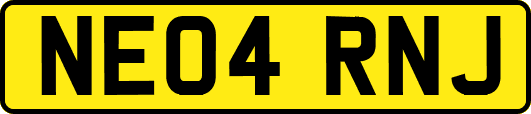 NE04RNJ
