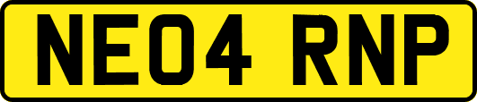 NE04RNP