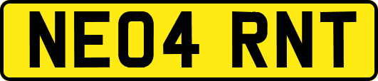 NE04RNT