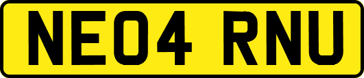 NE04RNU