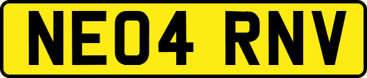 NE04RNV