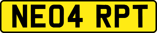 NE04RPT