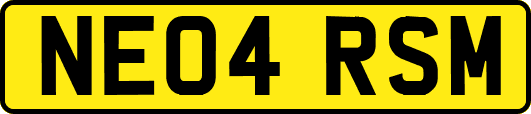 NE04RSM