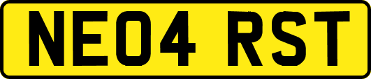 NE04RST
