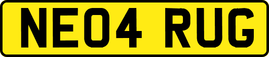 NE04RUG