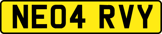 NE04RVY