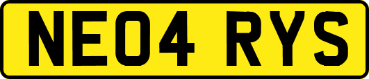 NE04RYS