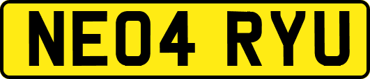 NE04RYU