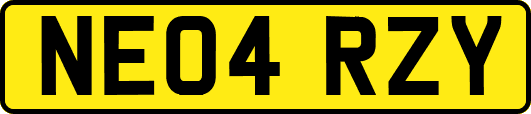 NE04RZY
