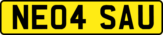NE04SAU