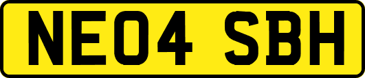 NE04SBH