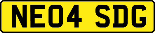 NE04SDG