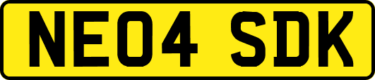 NE04SDK