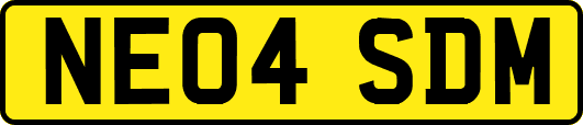 NE04SDM