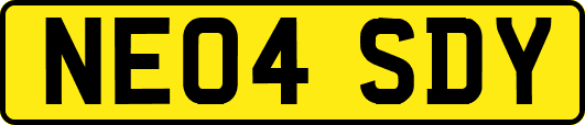 NE04SDY