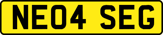 NE04SEG