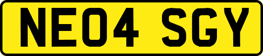 NE04SGY