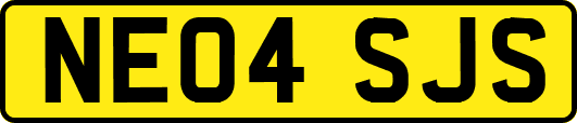 NE04SJS