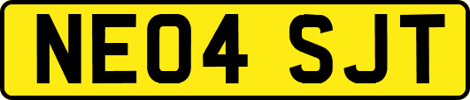 NE04SJT