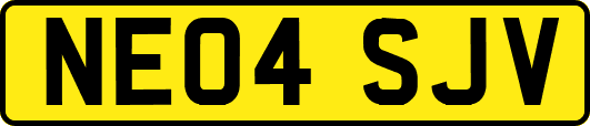 NE04SJV