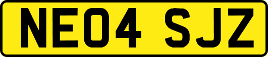 NE04SJZ