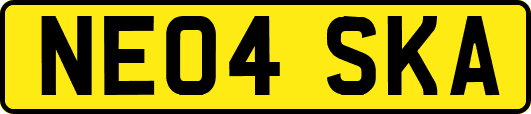 NE04SKA
