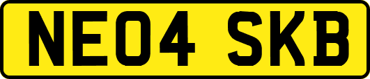 NE04SKB
