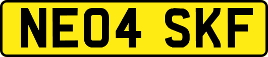 NE04SKF